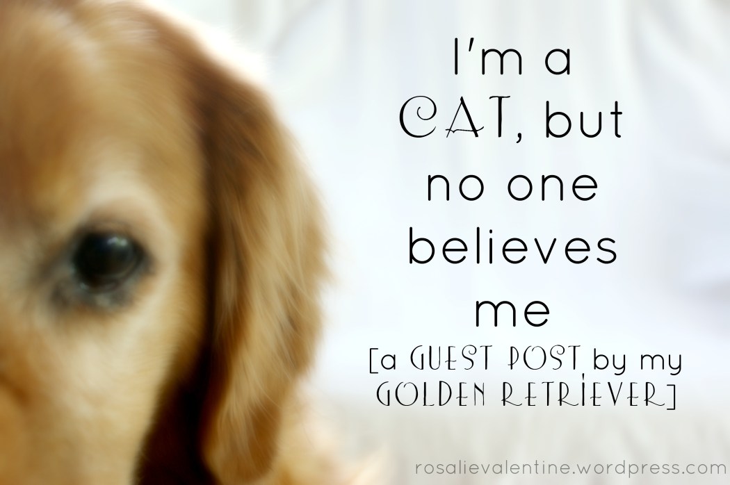 levi-guest-post 2.jpg